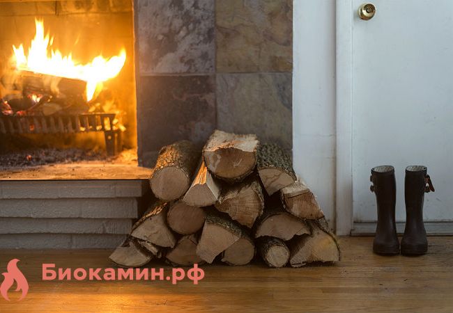 Газовые Камины Для Дома Цены Фото